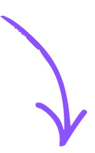FRECCIA 2 - VIOLA